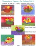 Fruit Bowls – Paper Palette Process
